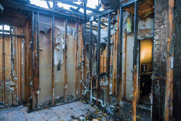 Professional Fire Damage Removal technician working in Maitland, FL