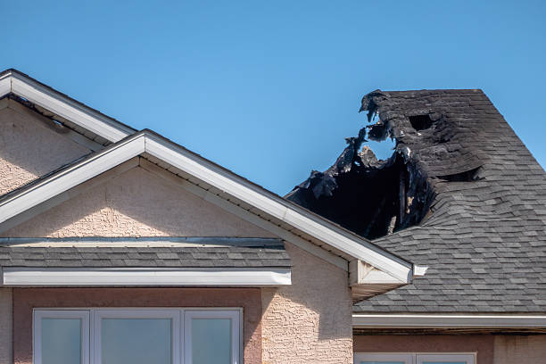 Top rated local Fire Damage Removal specialists in Maitland, FL